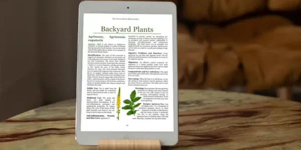 ebook-leer
